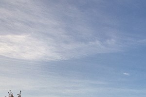 Vintage At Sequim | Senior Apartments in Sequim, WA